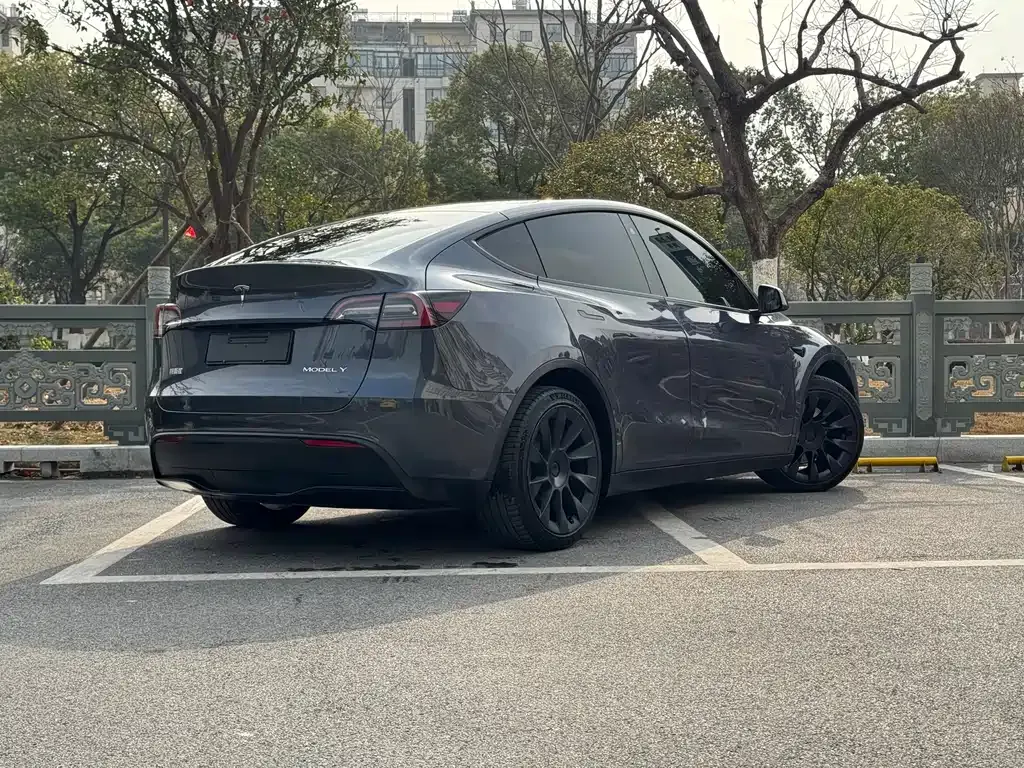 Tesla Model Y — фото 8