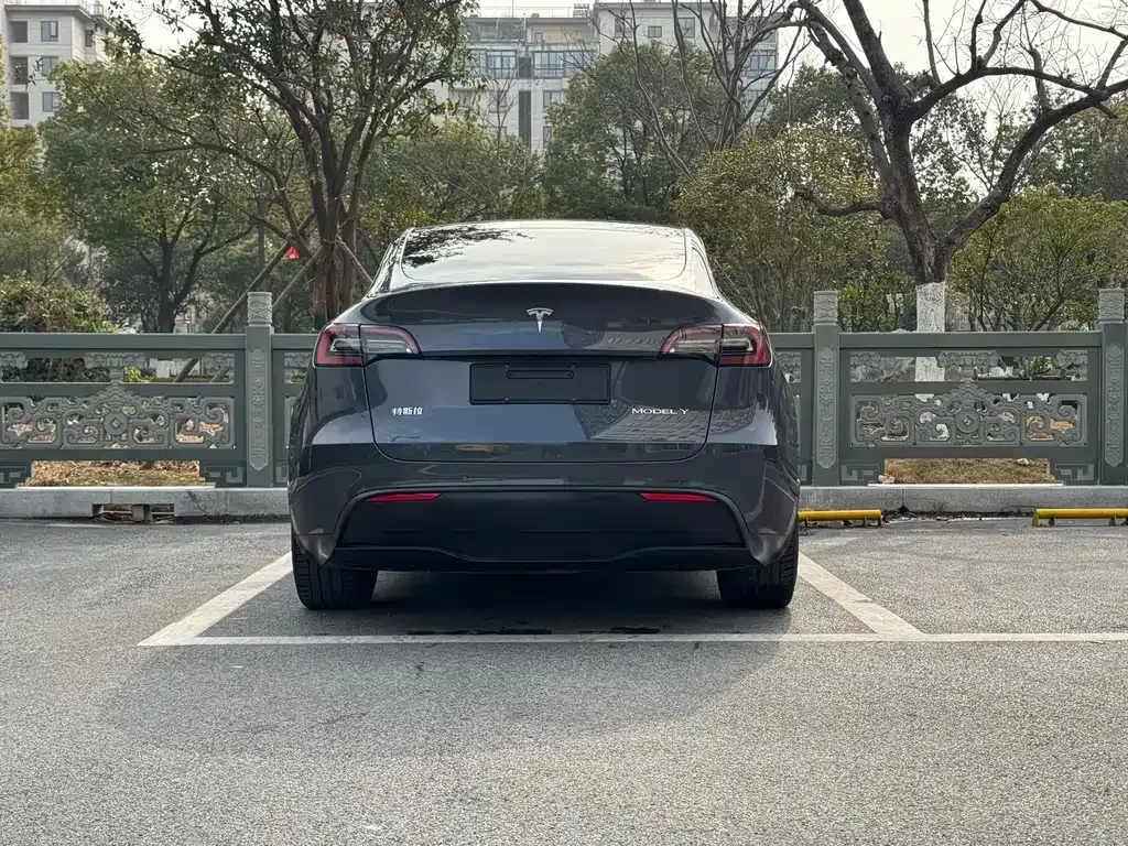 Tesla Model Y — фото 7