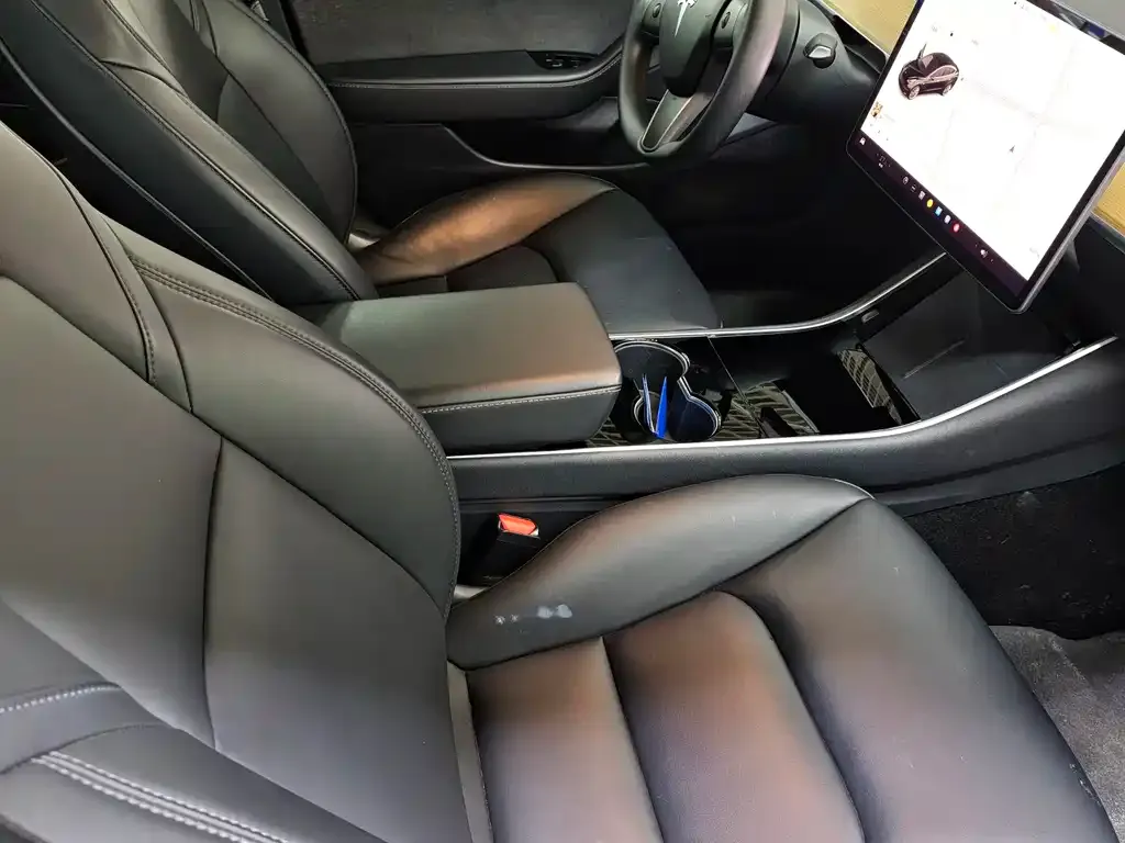Tesla Model 3 2022 из CN, фото 6