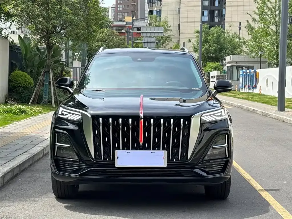 Hongqi HS5 2023 из CN, фото 8