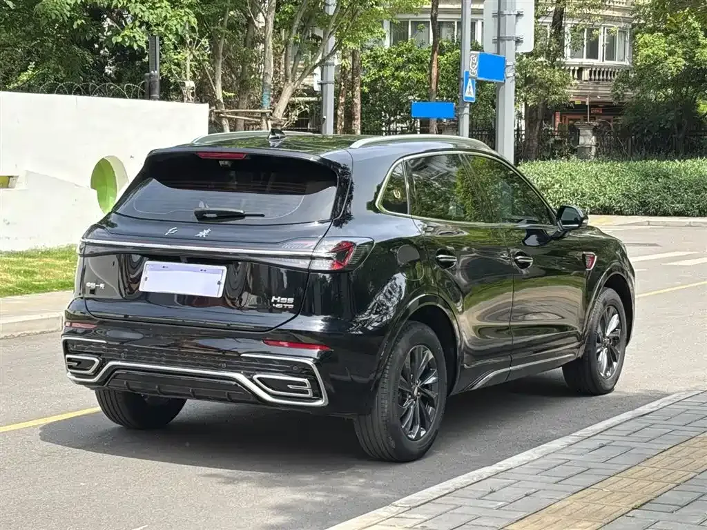 Hongqi HS5 2023 из CN, фото 5