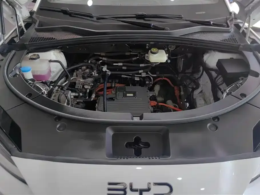 BYD PLUS New Energy — фото 3
