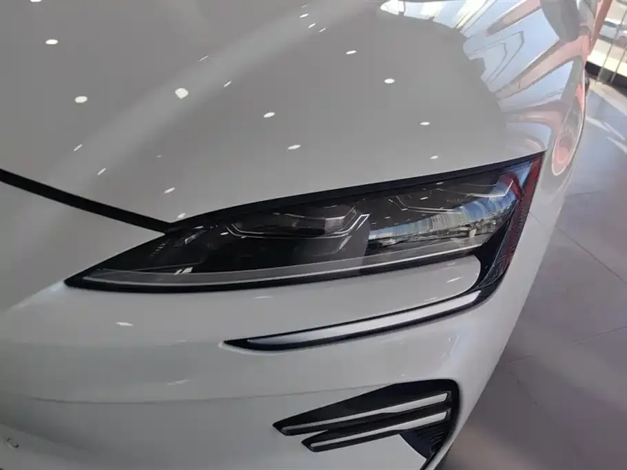BYD PLUS New Energy — фото 10