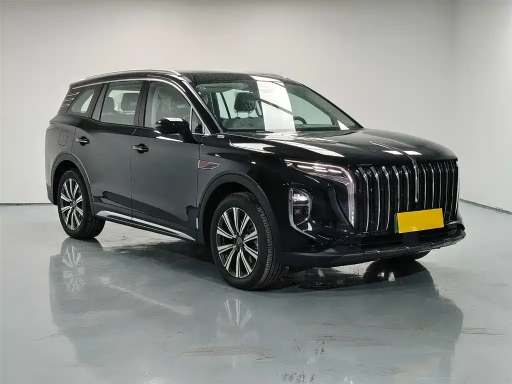 Hongqi HS7 PHEV 2025 из CN, фото 7