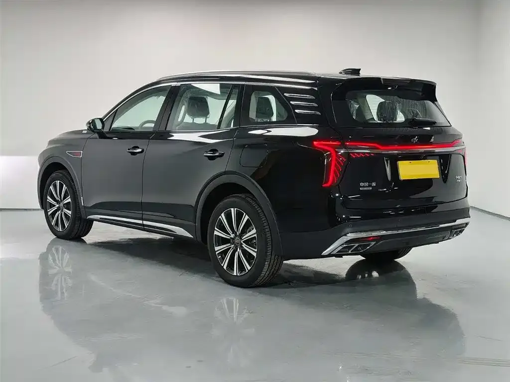 Hongqi HS7 PHEV 2025 из CN, фото 9