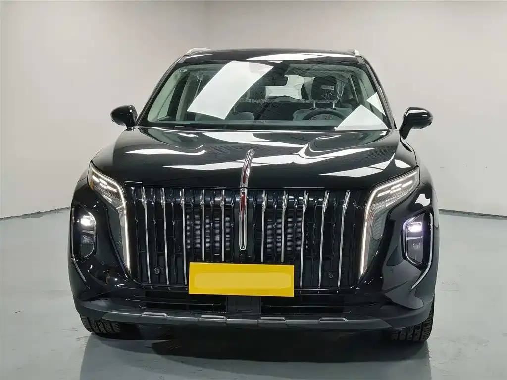 Hongqi HS7 PHEV 2025 из CN, фото 5