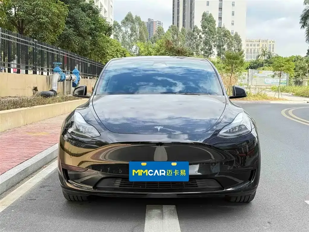 Tesla Model Y 2022 из CN, фото 3