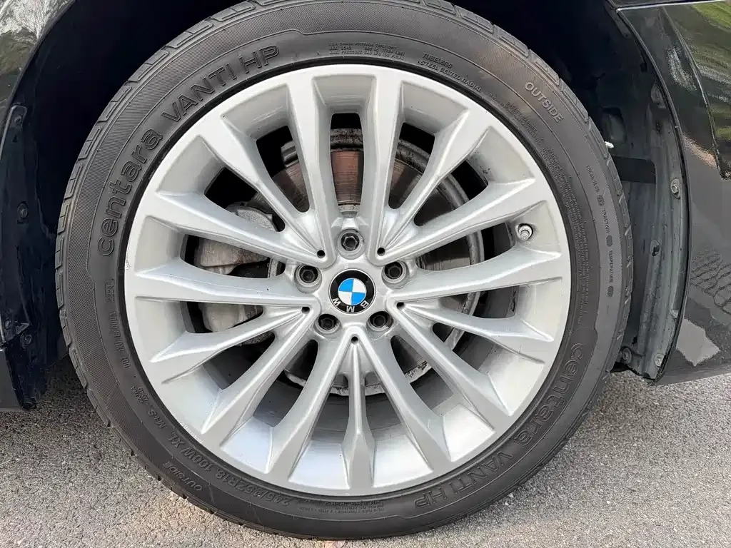 BMW 5 Series 2022 из CN, фото 4