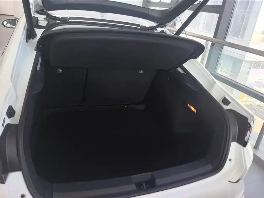 Volkswagen Lamando 2024 из CN, фото 9