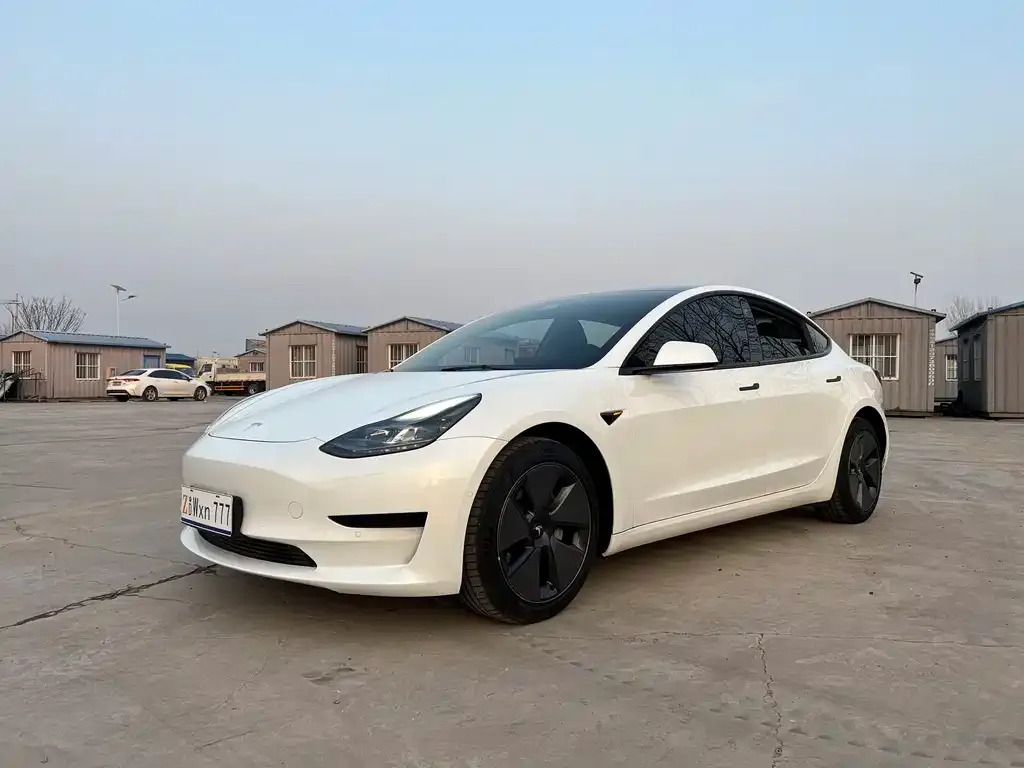 Tesla Model 3 2021 из CN, фото 1
