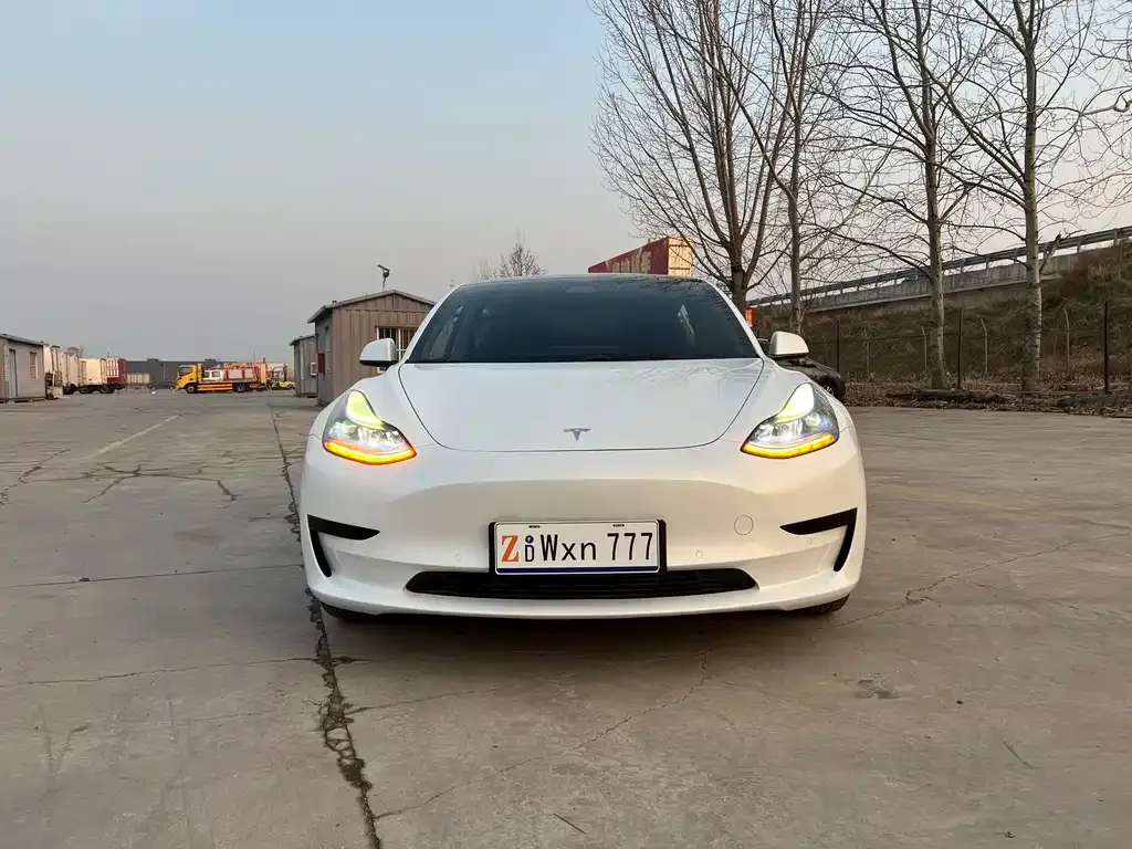 Tesla Model 3 2021 из CN, фото 2