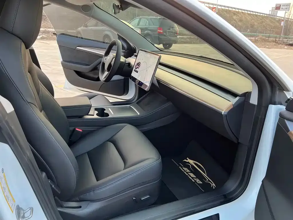 Tesla Model 3 2021 из CN, фото 4