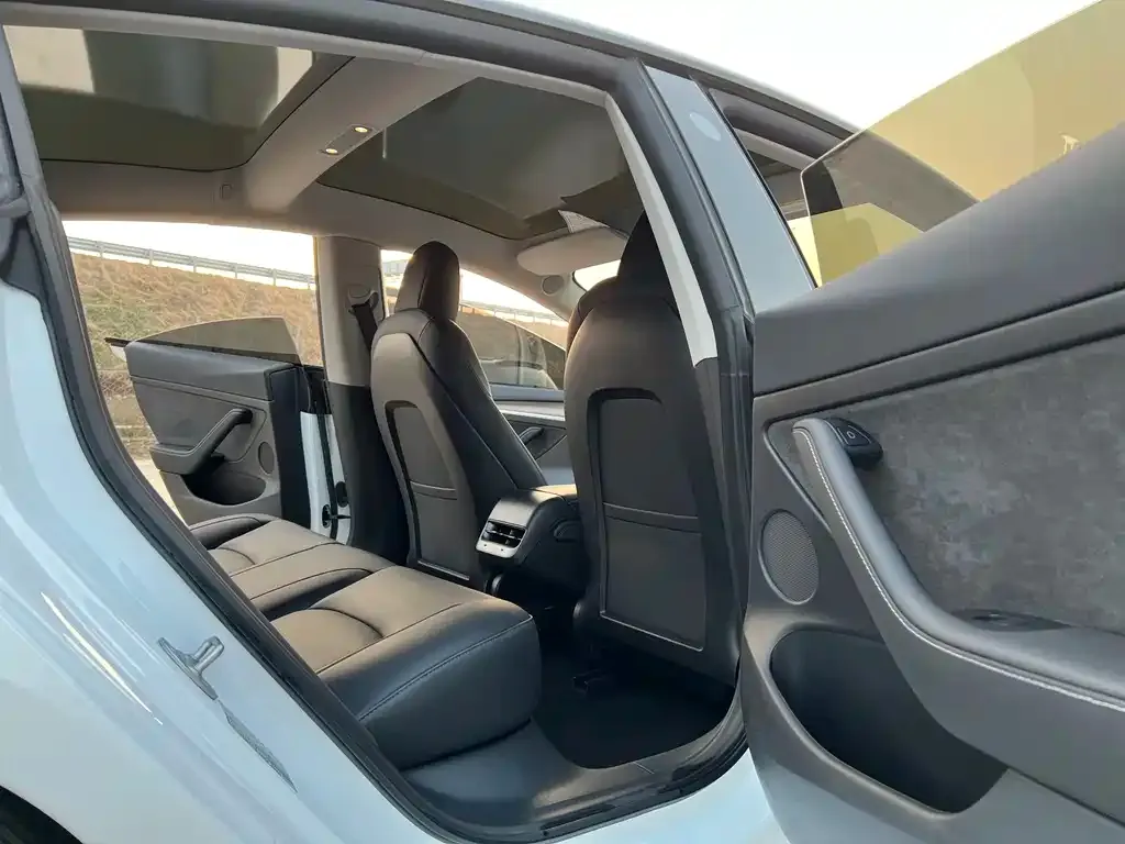 Tesla Model 3 2021 из CN, фото 5