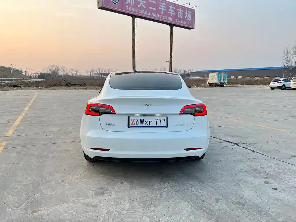 Tesla Model 3 2021 из CN, фото 8