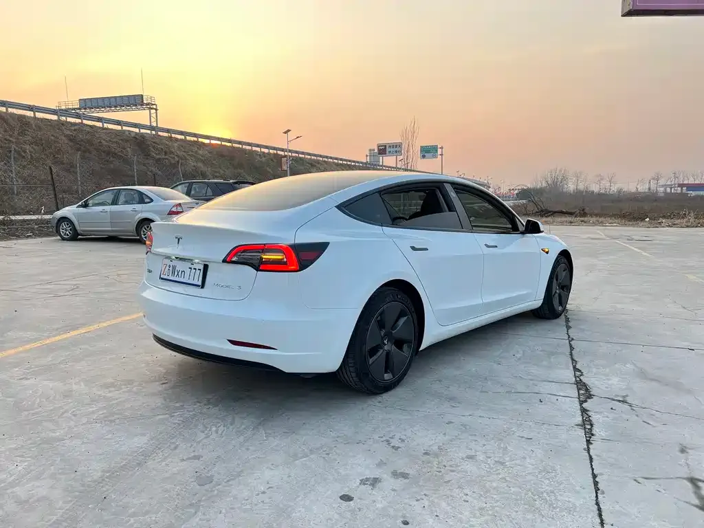Tesla Model 3 2021 из CN, фото 9
