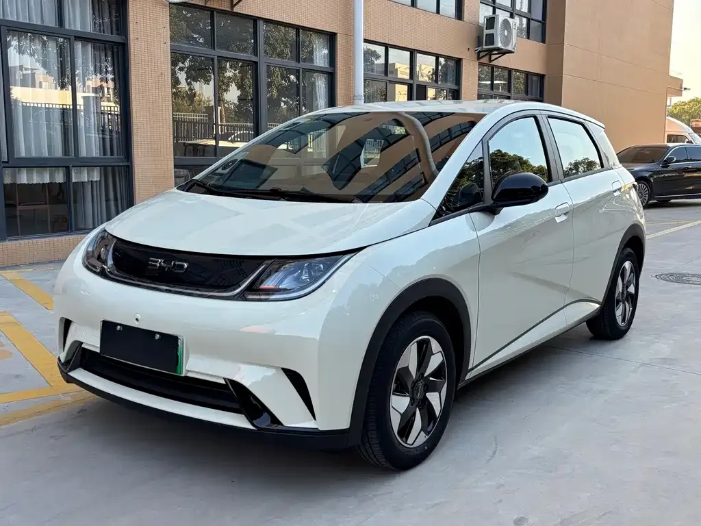 BYD Dolphin 2025 из CN, фото 1