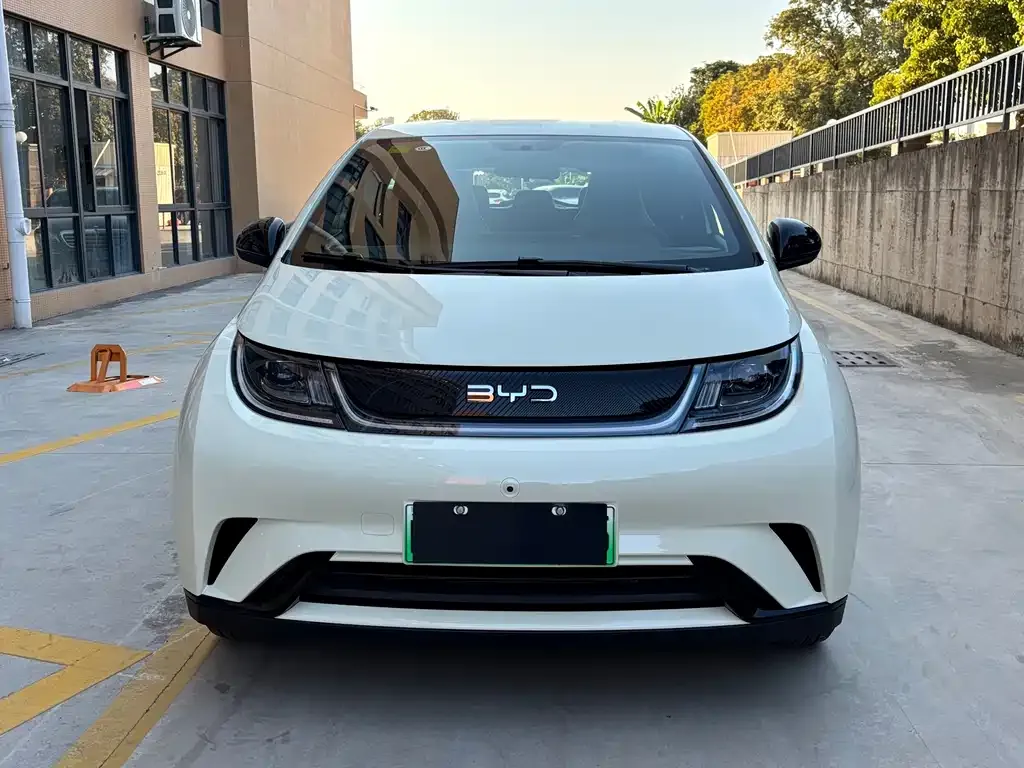 BYD Dolphin 2025 из CN, фото 7