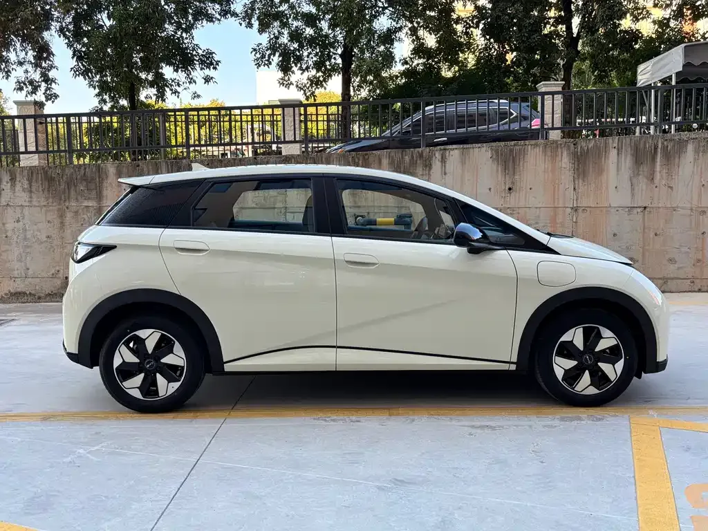 BYD Dolphin 2025 из CN, фото 9