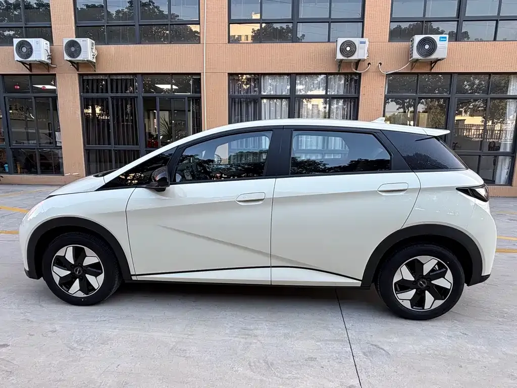 BYD Dolphin 2025 из CN, фото 8