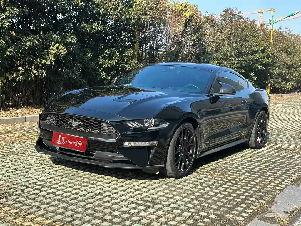 Ford Mustang — фото 1
