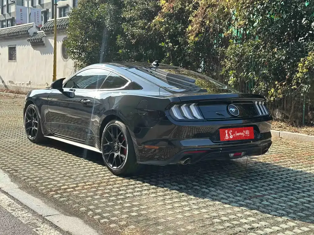 Ford Mustang — фото 10