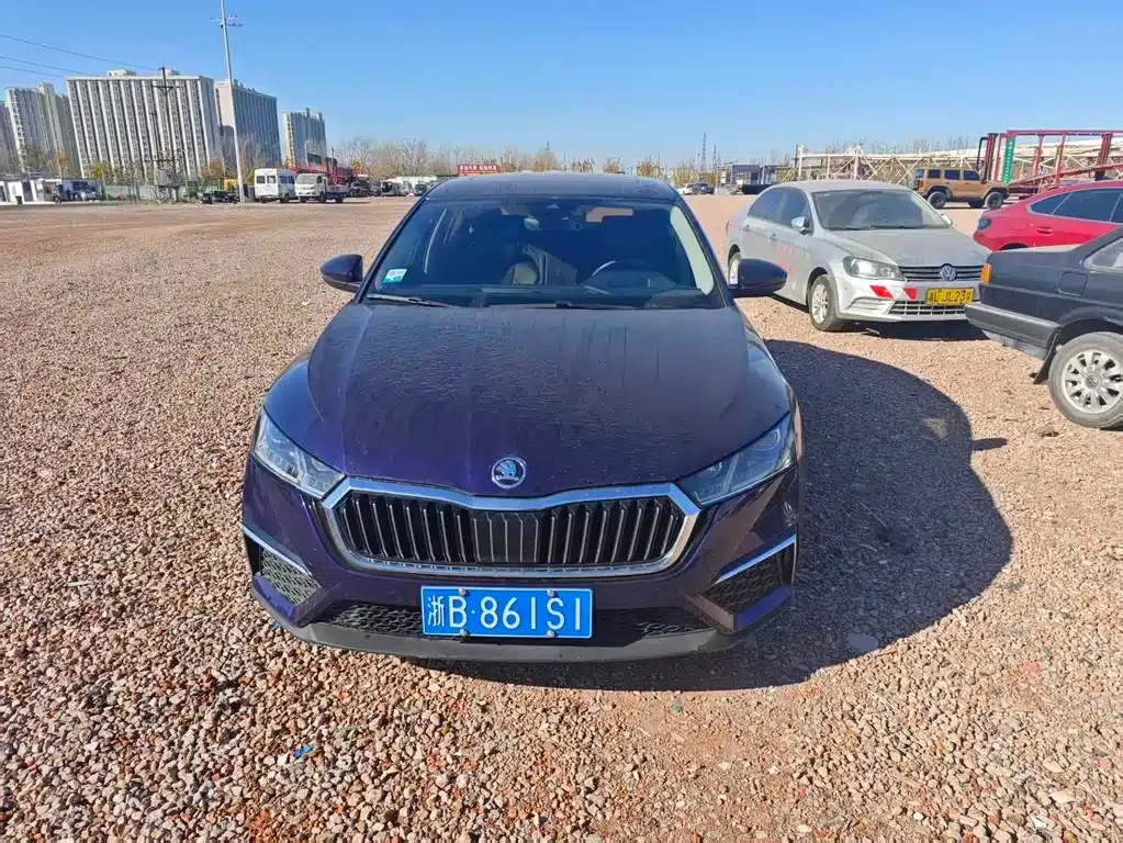 Skoda Octavia 2021 из CN, фото 1