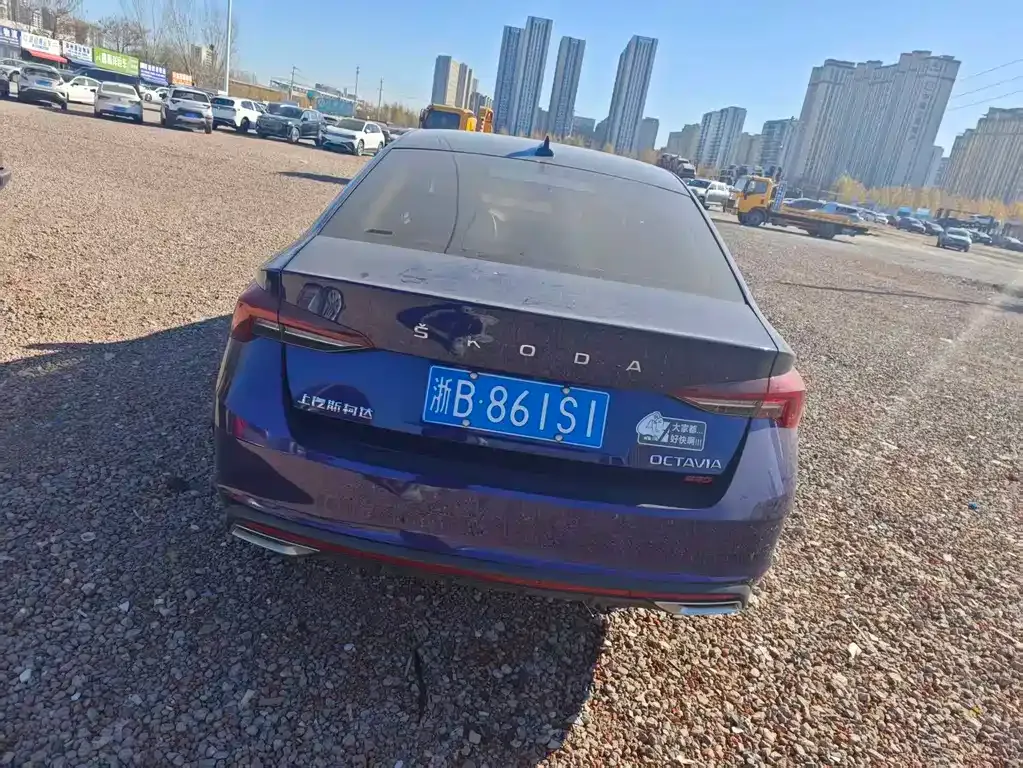 Skoda Octavia 2021 из CN, фото 9