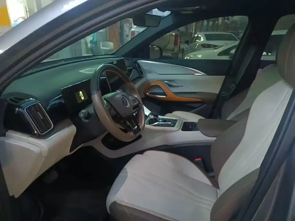 BYD Pro New Energy — фото 4
