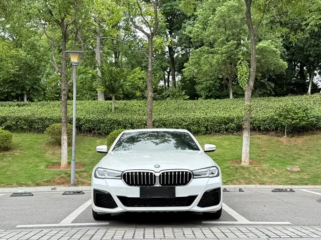 BMW 5 Series — фото 10