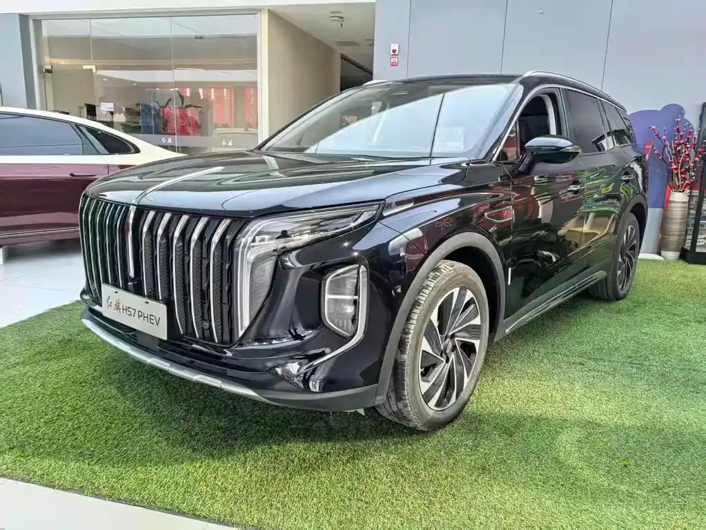 Hongqi HS7 2024 из CN, фото 1