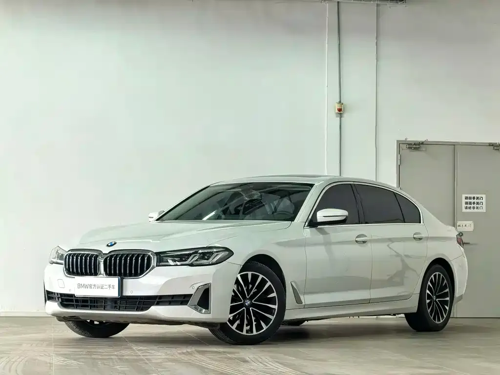 BMW 5 Series 2021 из CN, фото 1