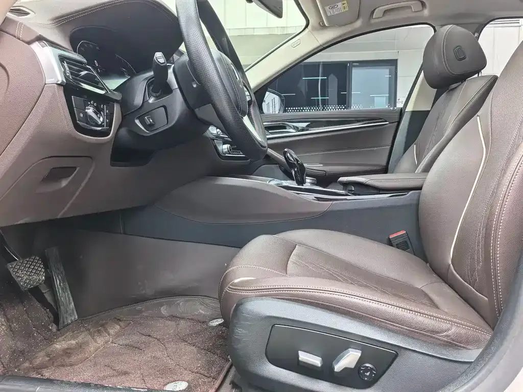 BMW 5 Series 2021 из CN, фото 9