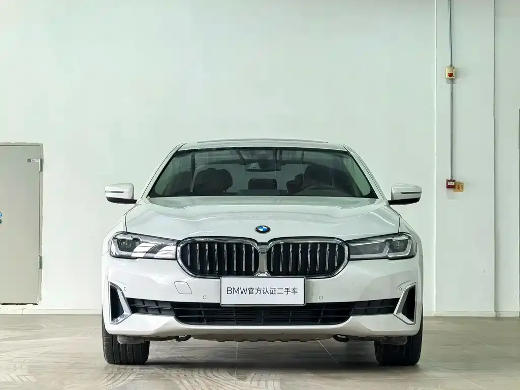 BMW 5 Series 2021 из CN, фото 4