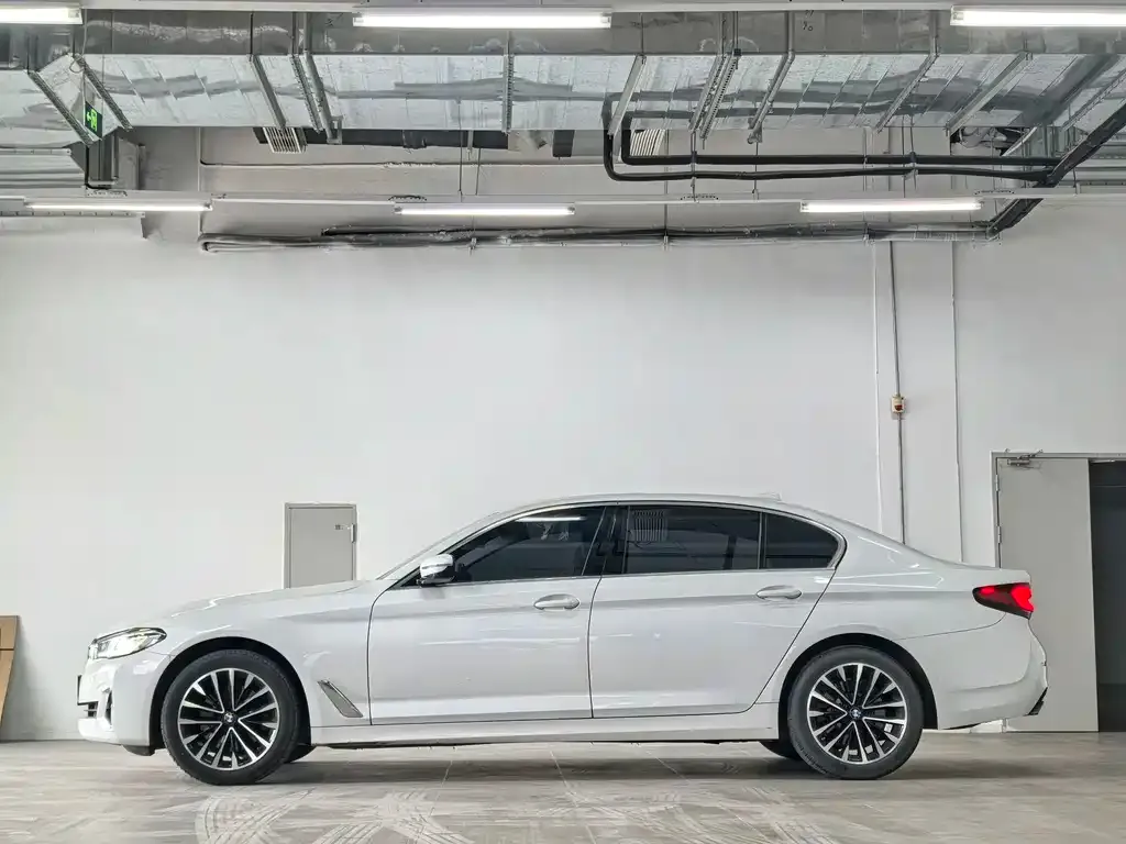 BMW 5 Series 2021 из CN, фото 10