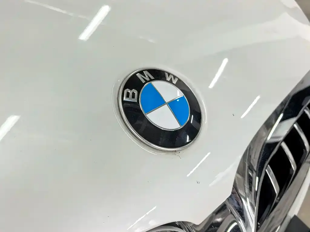 BMW 5 Series 2021 из CN, фото 2