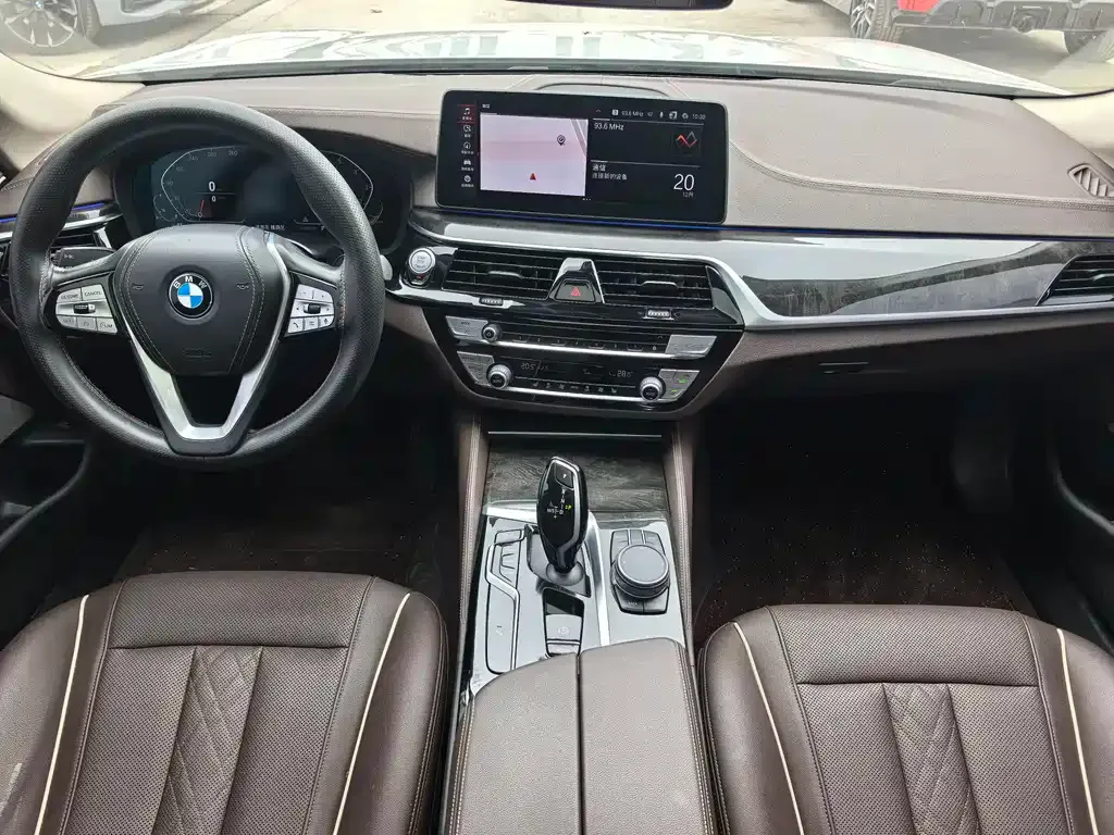 BMW 5 Series 2021 из CN, фото 8
