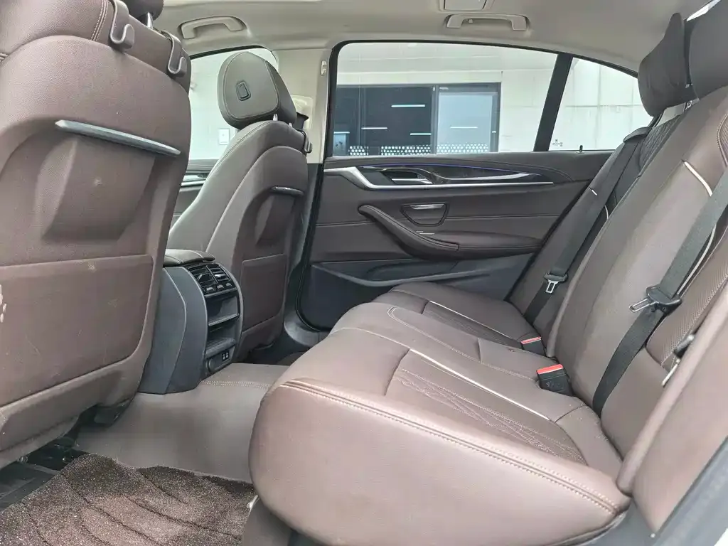 BMW 5 Series 2021 из CN, фото 6