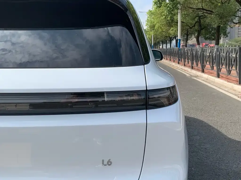 Li Auto Li L6 2024 из CN, фото 5