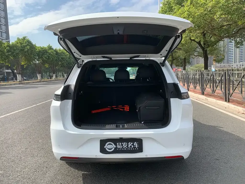 Li Auto Li L6 2024 из CN, фото 4