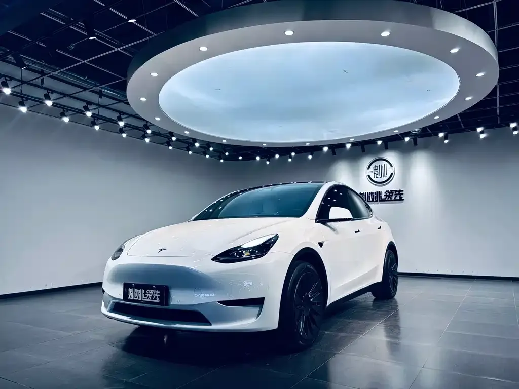 Tesla Model Y — фото 1
