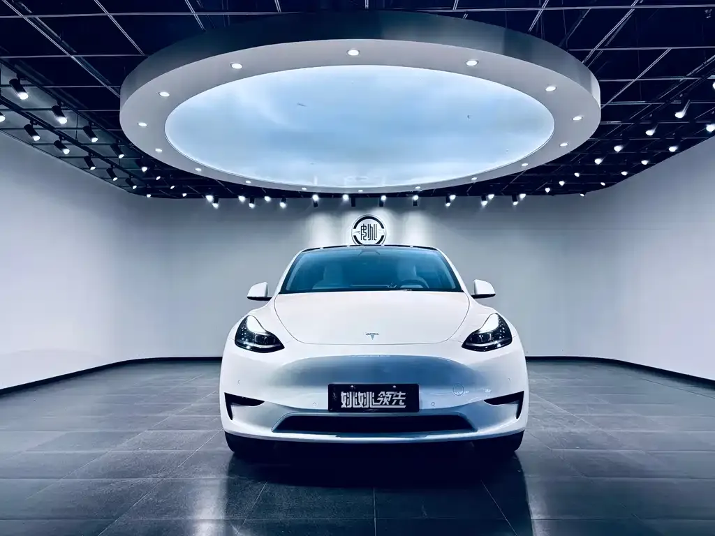 Tesla Model Y — фото 8