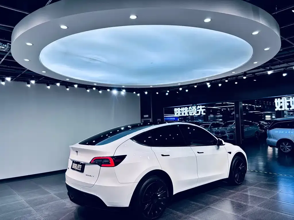 Tesla Model Y — фото 7
