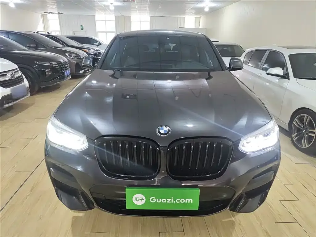 BMW X4 2021 из CN, фото 4