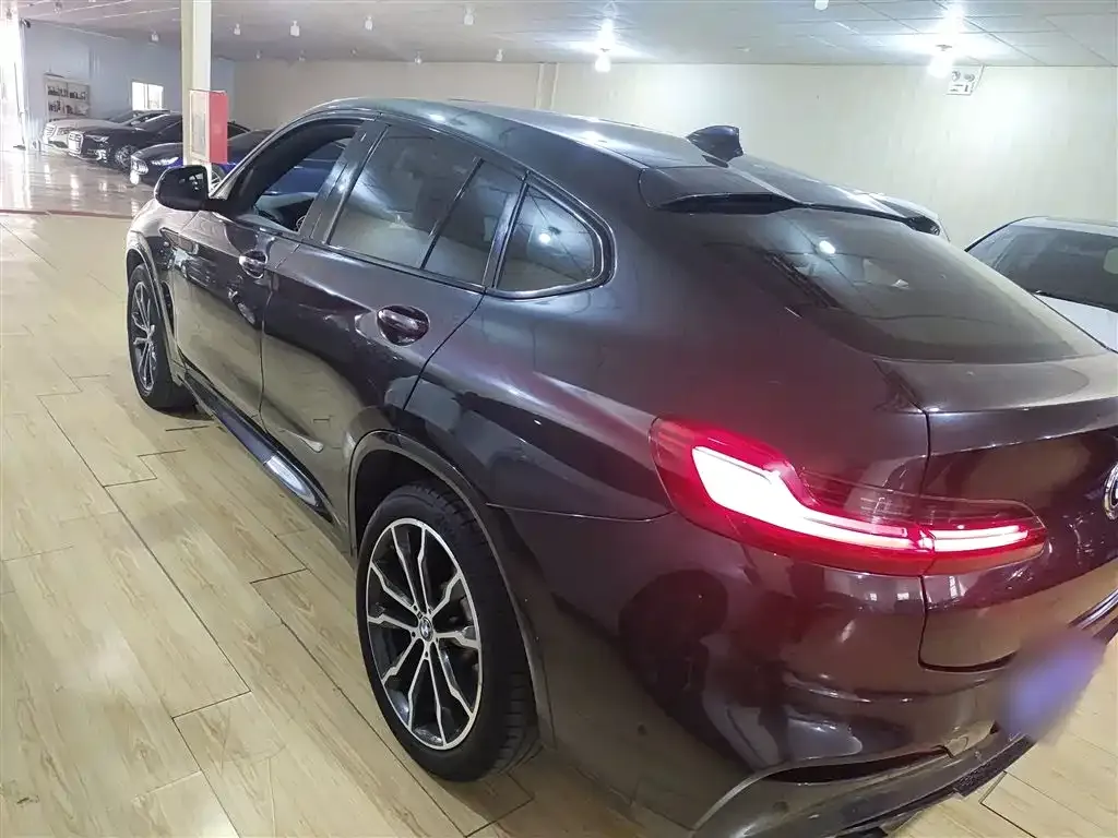BMW X4 2021 из CN, фото 6