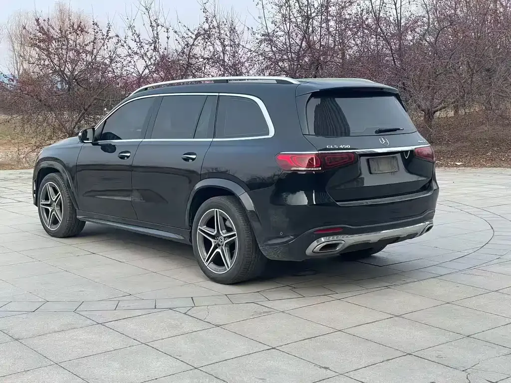 Mercedes-Benz GLS 2022 из CN, фото 9