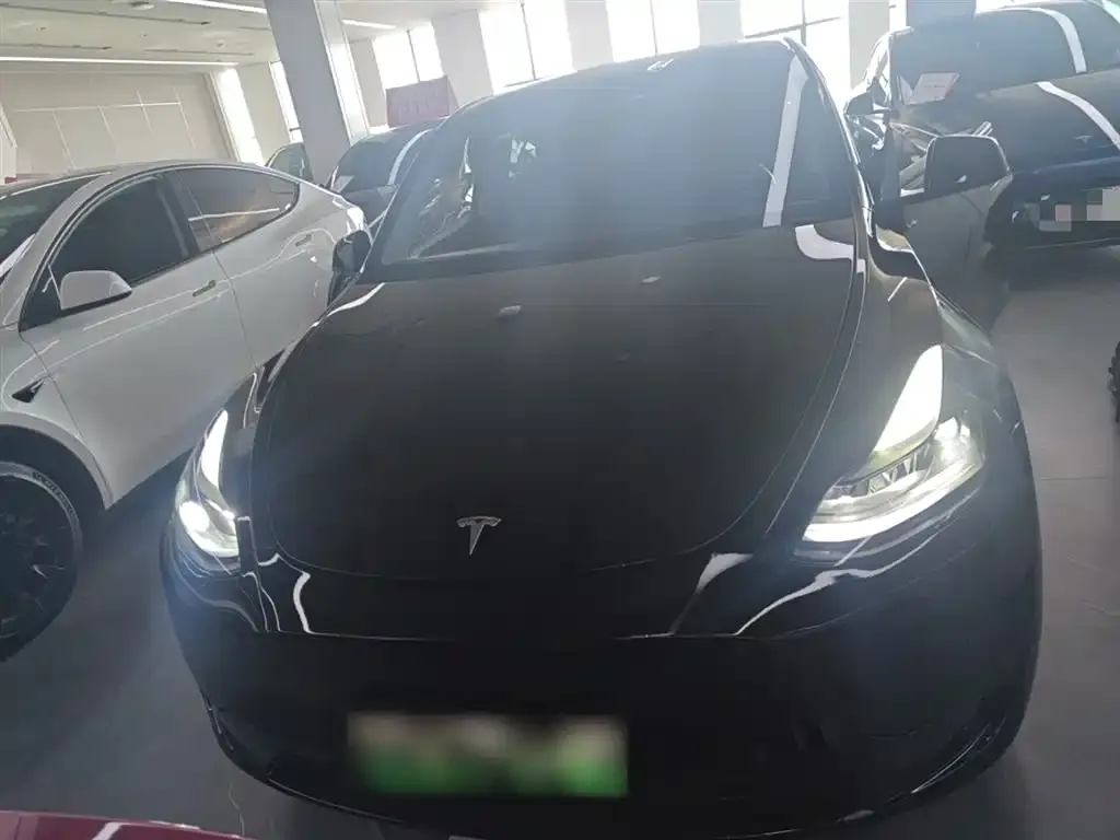 Tesla Model Y — фото 2