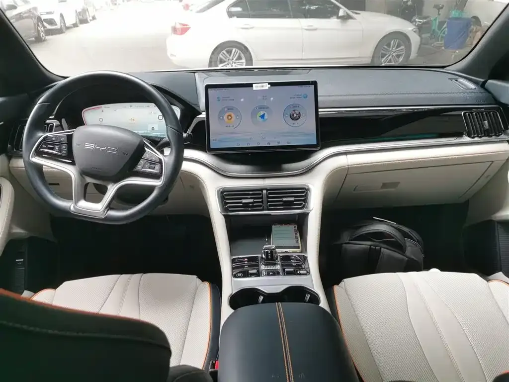 BYD PLUS New Energy 2023 из CN, фото 10