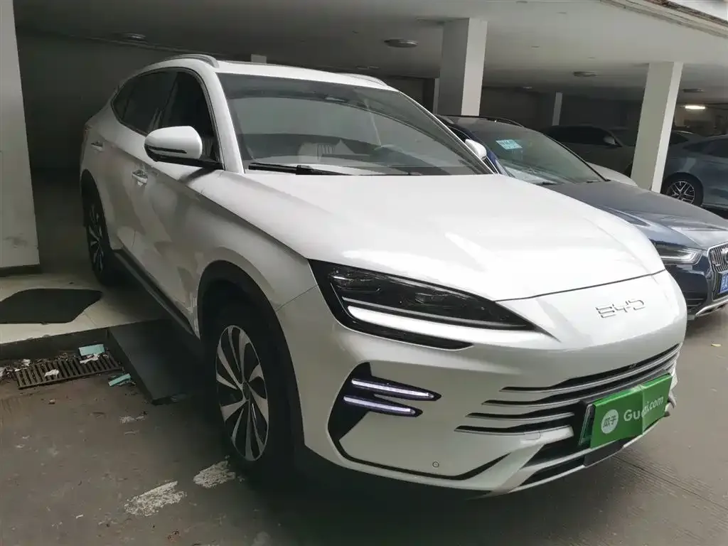 BYD PLUS New Energy 2023 из CN, фото 4