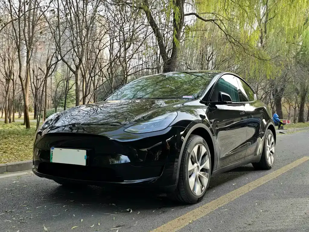 Tesla Model Y — фото 1