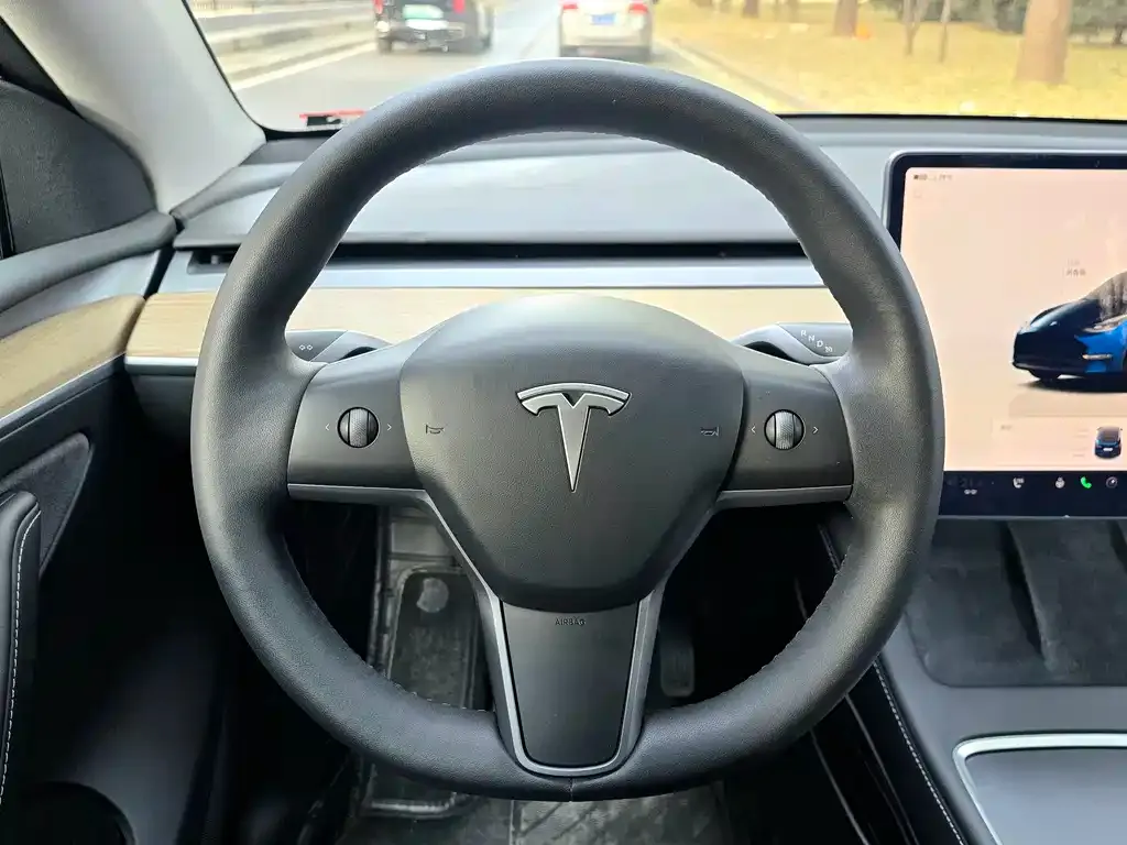 Tesla Model Y — фото 10